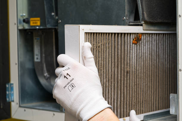 Best Professional Duct Cleaning Services  in Colton, CA